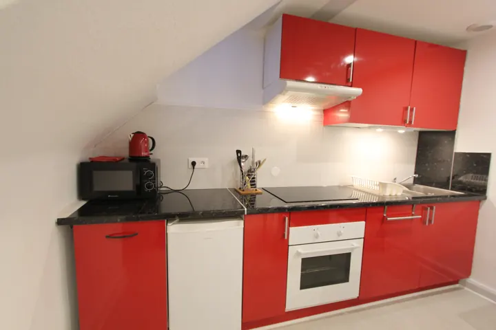 Cuisine équipée : four, plaques, micro-ondes