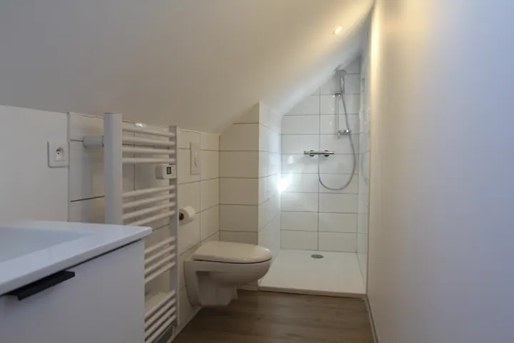 Salle d'eau avec douche
